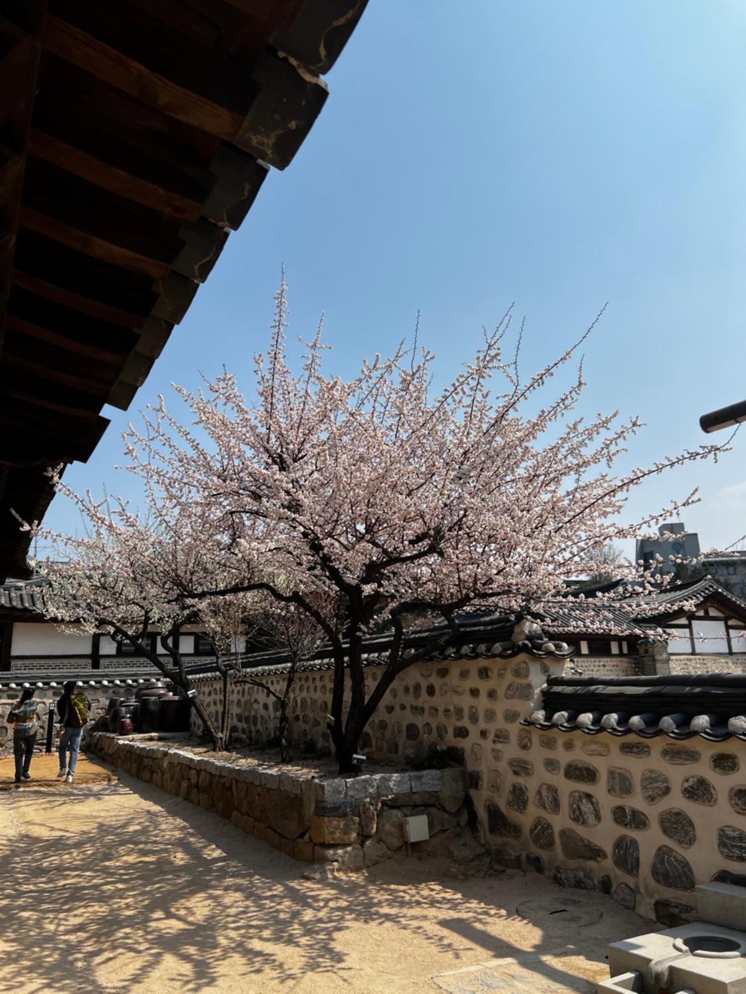 Apartment 3-warm Newly-build Near Dongdaemun History & Culture Park Station Seoul